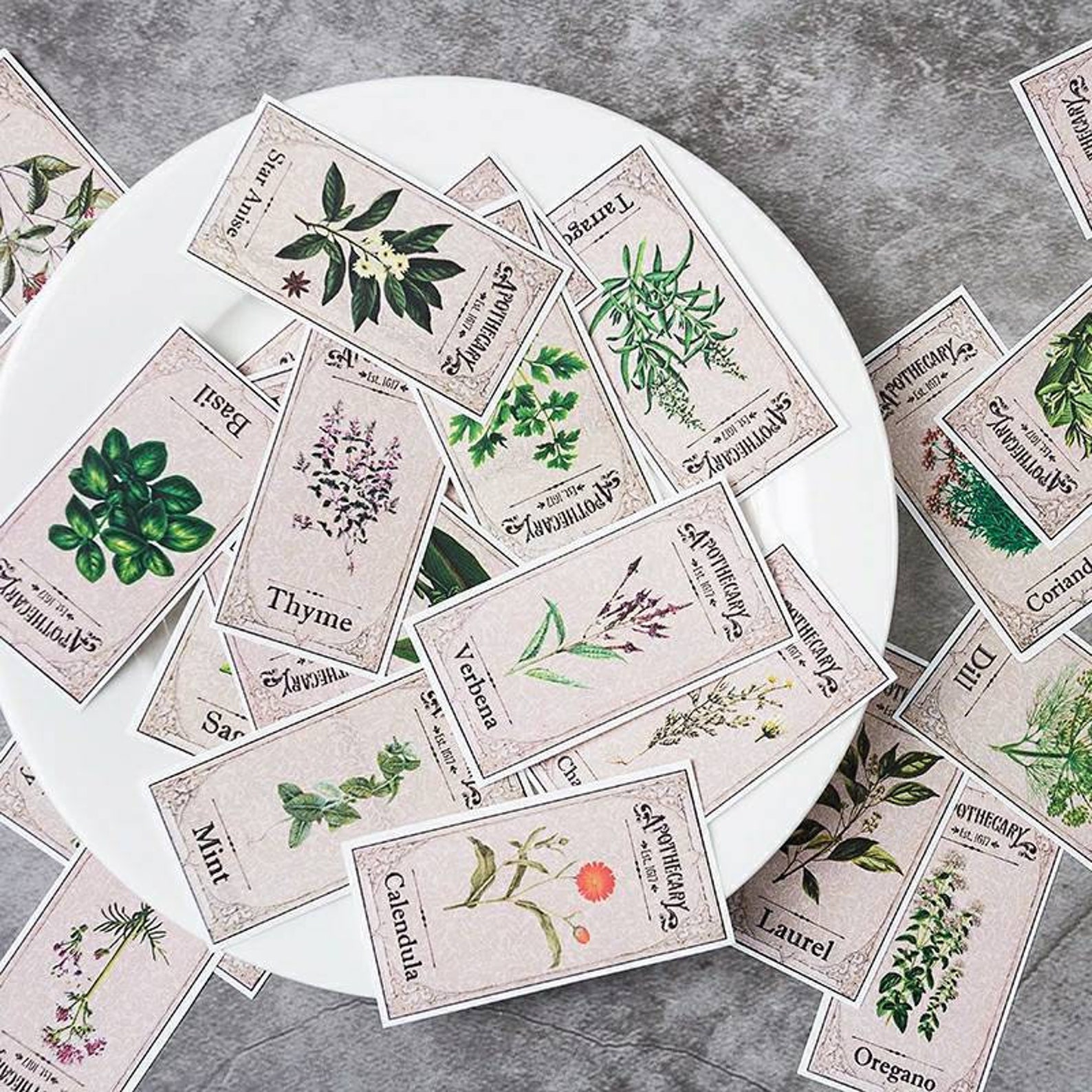 vintage-botanical-stickers-nature-stickers-plant-stickers-etsy