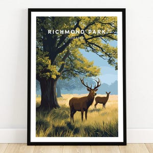 May include: A framed art print featuring a scenic illustration of Richmond Park, Surrey. The artwork depicts two deer in a field with a large tree and the text "RICHMOND PARK" at the top. The color palette includes shades of brown, green, and blue.