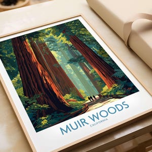 Muir Woods Print California - California National Park Wall Art