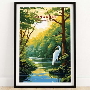 Congaree National Park Print Art Print Travel Print | Home Décor Poster Gift | Digital Illustration Artwork | Birthday Present