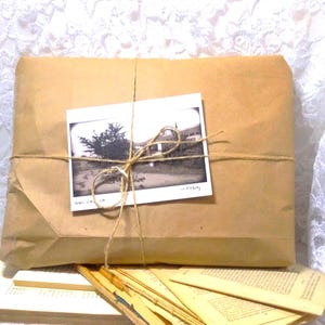 300 Antique & Vintage Book Page Bundle ~ Economy Pack ~ Primarily Text ~ Variety of Font, Tanning, Page Sizes ~ Random ~ Junk Journals
