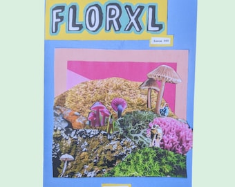 FLORXL ZINE Issue 003 - 'Looking Closer' - a celebration of plants, gardens + horticulture