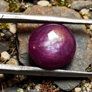 May include: A round, deep magenta-colored cabochon gemstone with a smooth, polished surface and a visible light reflection, held securely between the metal prongs of a pair of silver-toned tweezers.