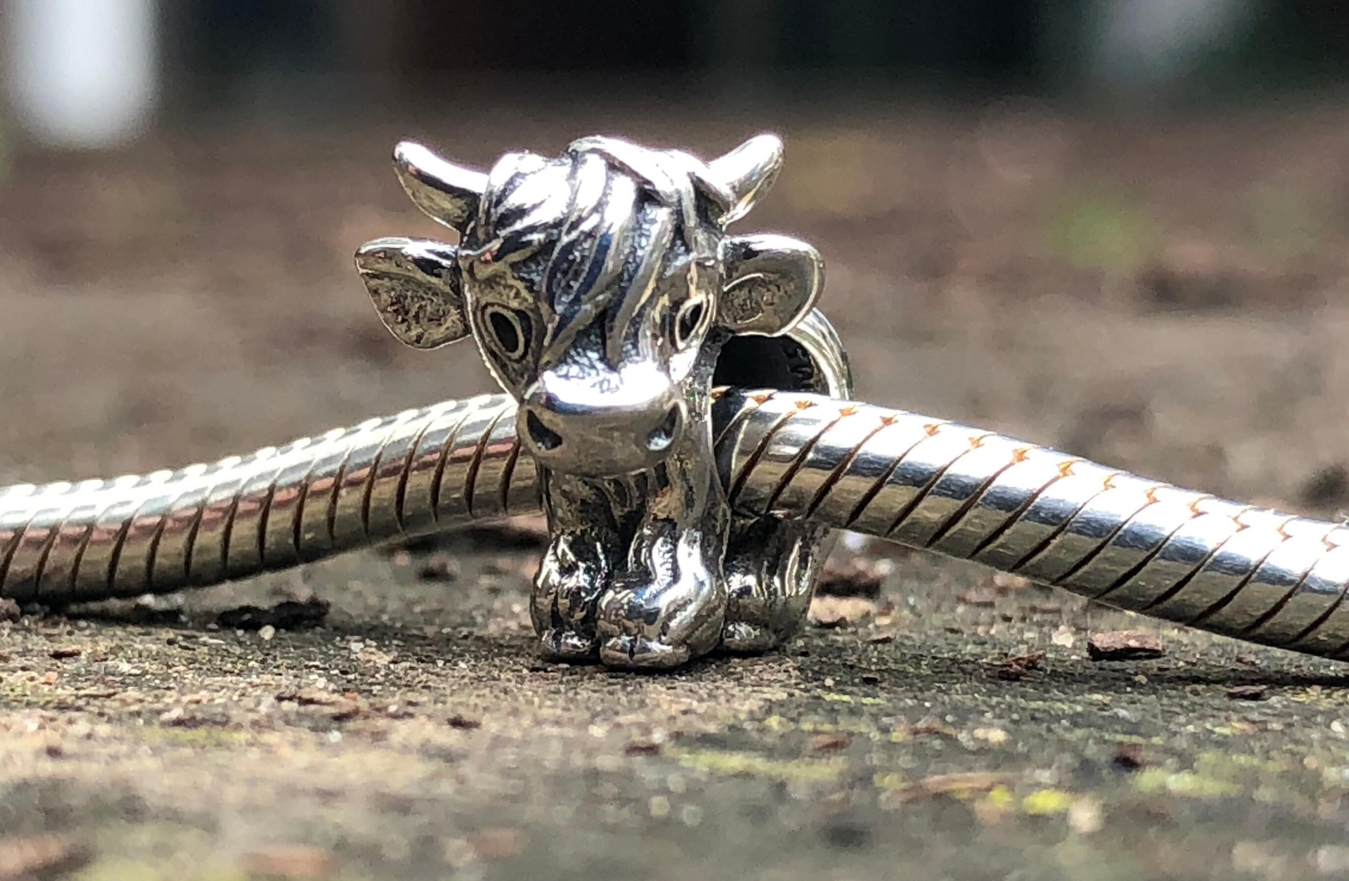 Scotch the Cow Charm 925 Sterling Silver, Fits Pandora Bracelet, Cute &  Cuddly, Scottish Highland Calf, Cattle, Baby Cow, Visit Scotland 