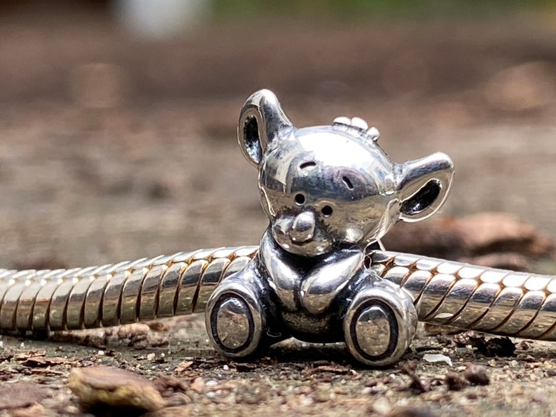 May include: A silver charm in the shape of a teddy bear. The bear is sitting with its paws in front of it. The charm is designed to be used on a bracelet or necklace.