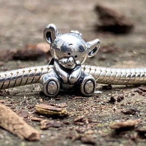 May include: A silver charm shaped like a teddy bear. The bear is sitting with its paws in front of it and has a small nose and eyes.