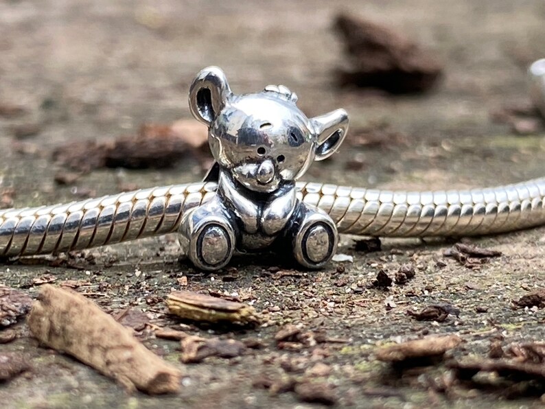May include: A silver charm shaped like a teddy bear. The bear is sitting with its paws in front of it and has a small nose and eyes.