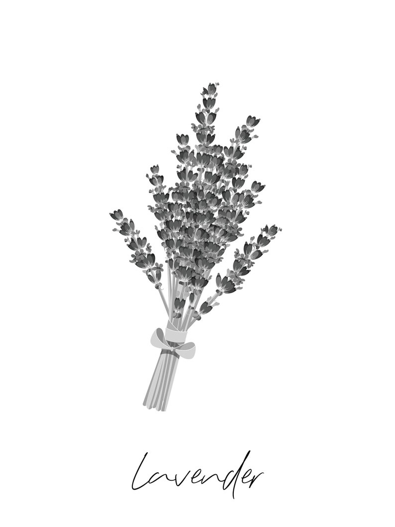 PNG Files. Set of 3 Lavender Printable Files - Etsy
