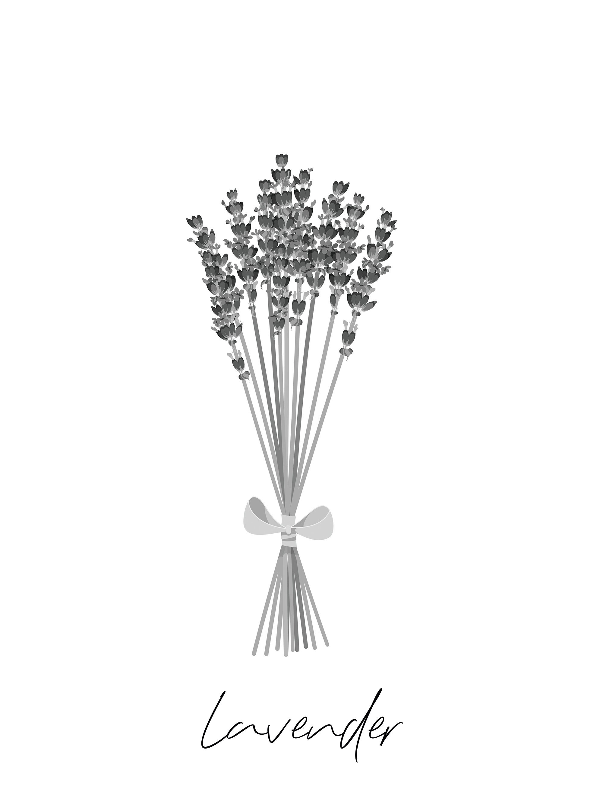 PNG Files. Set of 3 Lavender Printable Files - Etsy