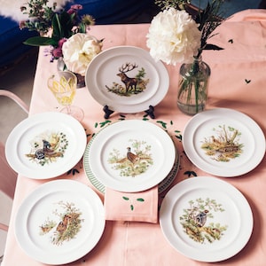 6 Vintage Bavaria Schumann Arzberg Plates | Wildlife Collection | Birds of the Fields and Moorland