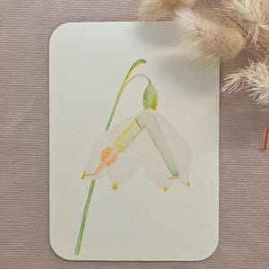Yoga Blütenzauber, Yogapose Herabschauender Hund, Blume Märzenbecher, Asana, Kunstdruck, DIN A6, Postkarte, Yogakarte