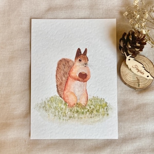 Postkarte, Eichhörnchen, Aquarell, Herbstliche Grußkarte, Herbst