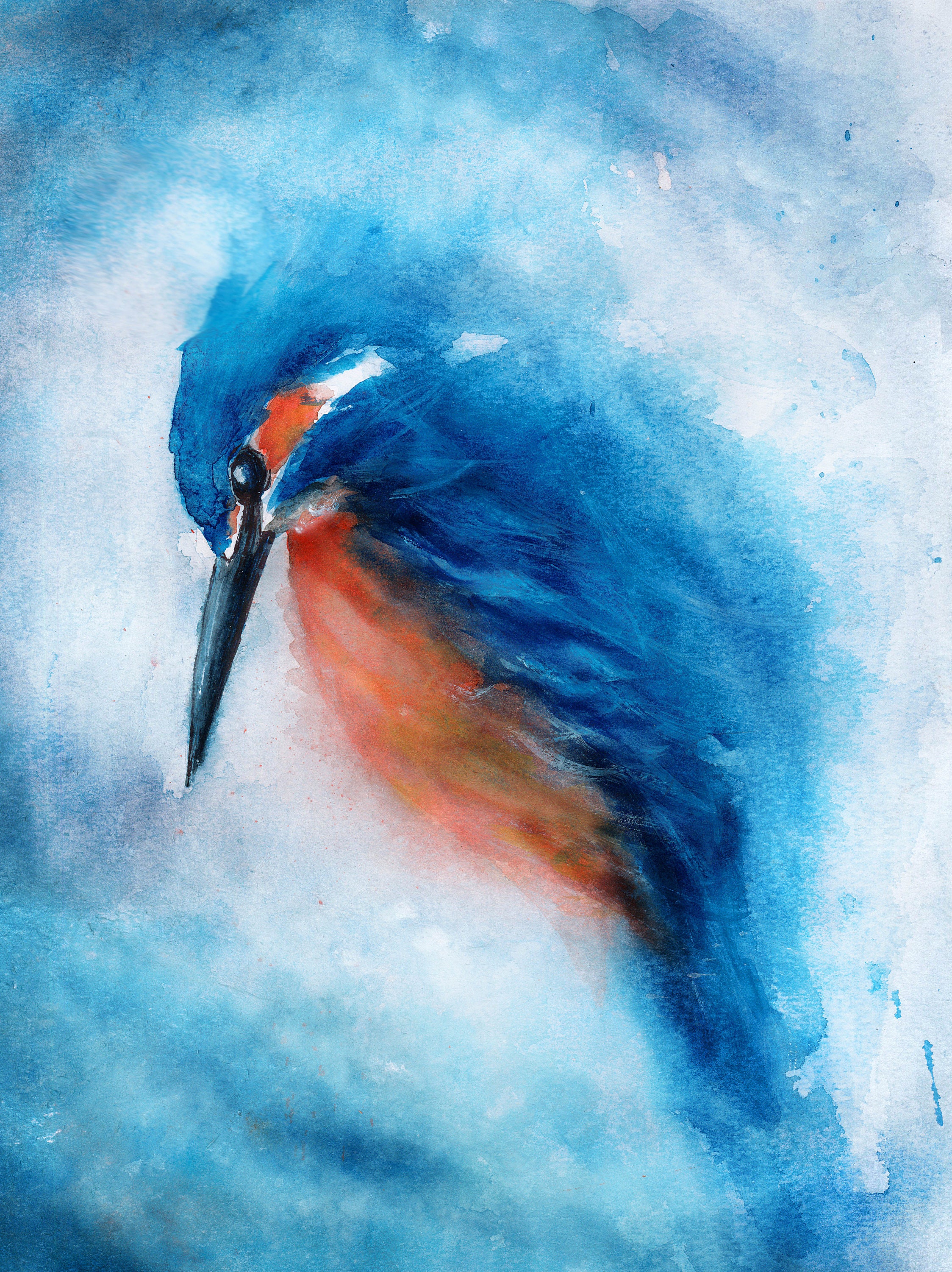 Peinture aquarelle Martin pecheur | Etsy