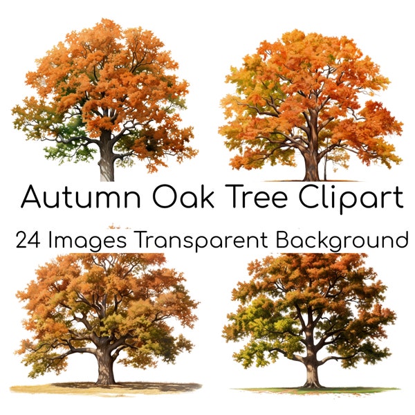 Autumn Oak Tree Clip Art Set: Fall Oak Tree Clipart, Vibrant Watercolor Graphics for DIY Projects & Instant Download, PNG Transparent