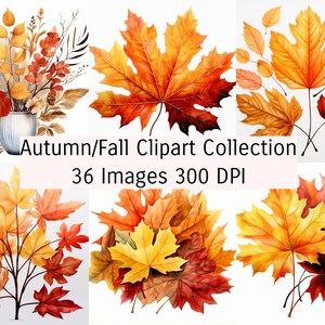 Autumn Clipart Collection, bundle, Fall Clipart PNG format, commercial use, 36 Images Transparent PNG Fall Clip Art Autumn Graphics,download