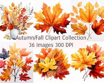 Autumn Clipart Collection, bundle, Fall Clipart PNG format, commercial use, 36 Images Transparent PNG Fall Clip Art Autumn Graphics,download
