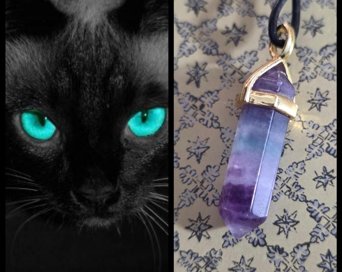 Female Black Cat "Algara" Spirit Companion, Spirit Vessel Necklace, Tier 1
