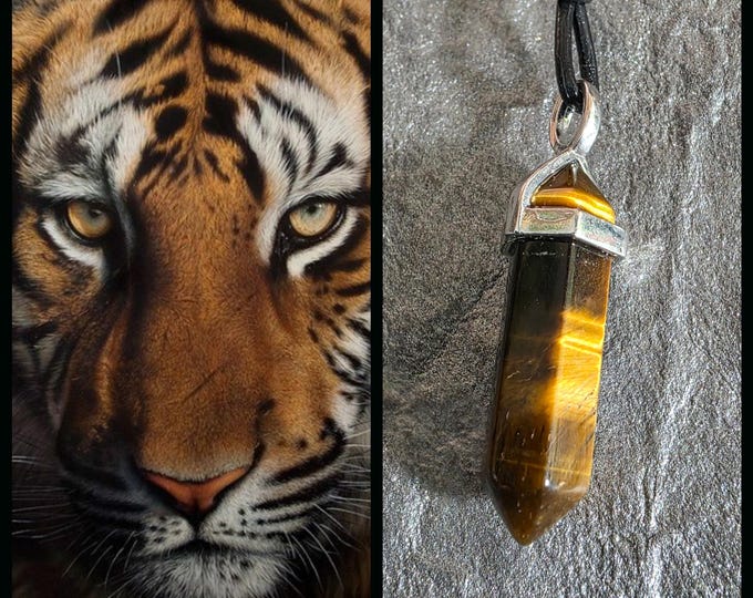 Tiger "Lorgel" Spirit Companion, Spirit Vessel Necklace, Tier 1
