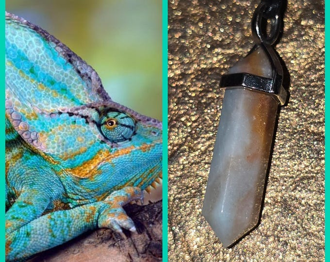 Veiled Chameleon "Sulmon" Spirit Companion, Spirit Vessel Necklace, Tier 1