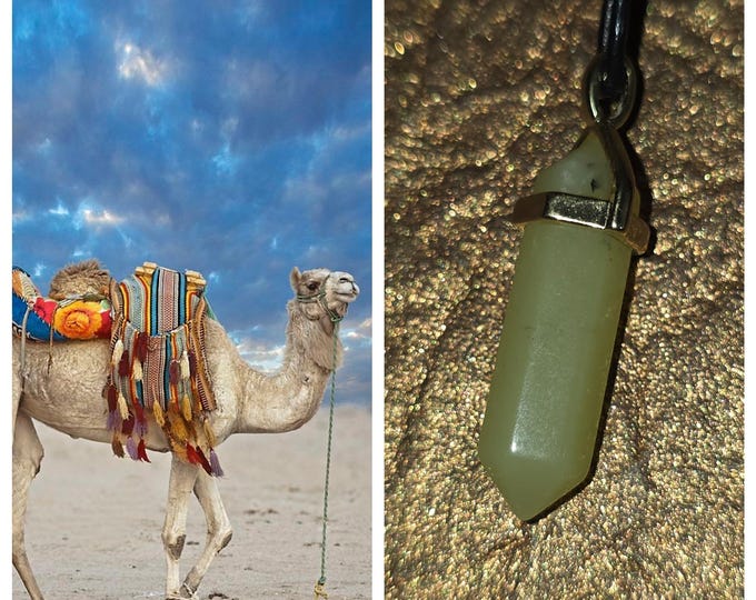 Camel "Golric" Spirit Companion, Spirit Vessel Necklace, Tier 1