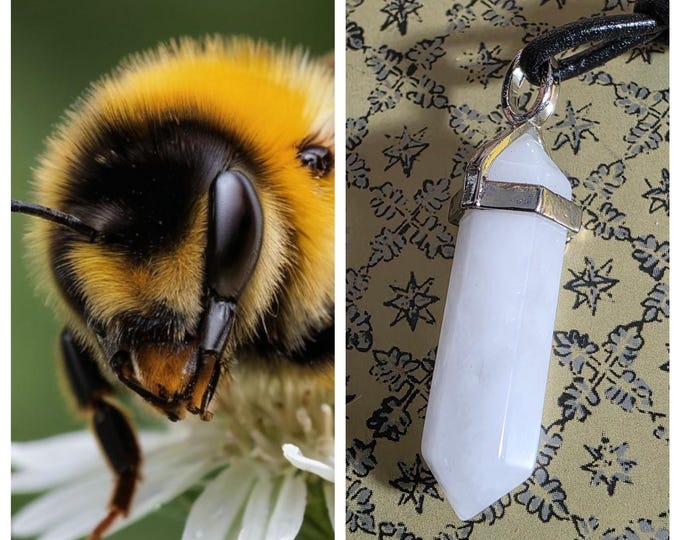 Bumblebee Garden Helper "Lumog" Spirit Companion, Spirit Vessel Necklace, Tier 1