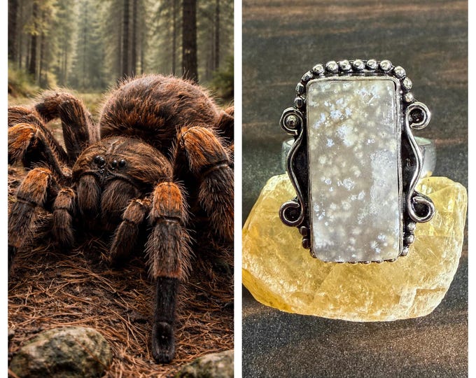 DCC EXCLUSIVE Giant Tarantula Living Entity Companion, Scottish Highlands "Zomtoc" Spirit Vessel Ring, Tier 3