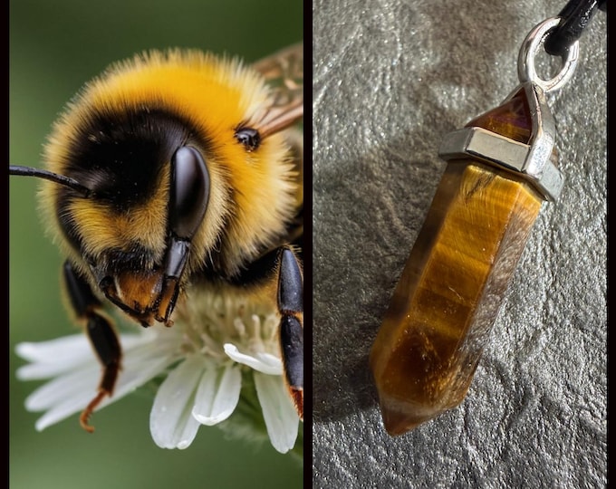 Bumblebee Garden Helper "Bobor" Spirit Companion, Spirit Vessel Necklace, Tier 1