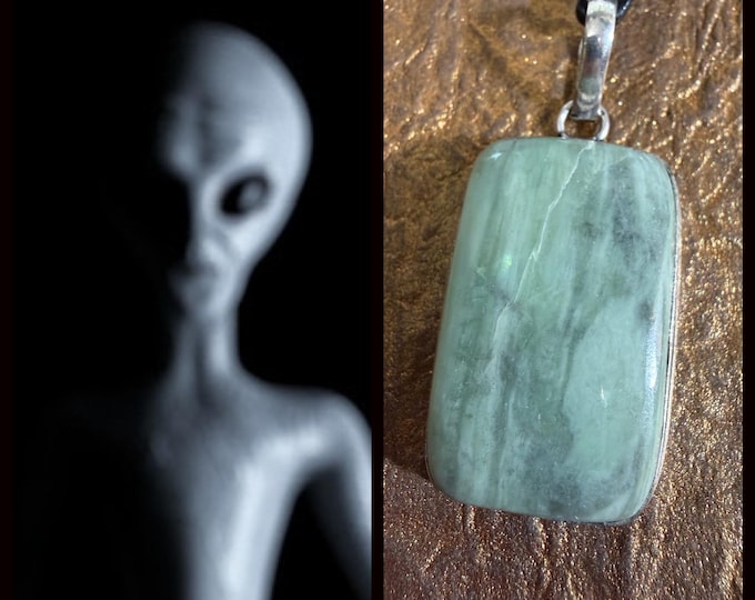 Alien Gray "Xalxuex" (zahl-zoo-ecks) Living Entity Companion, Spirit Vessel Necklace, Tier 3