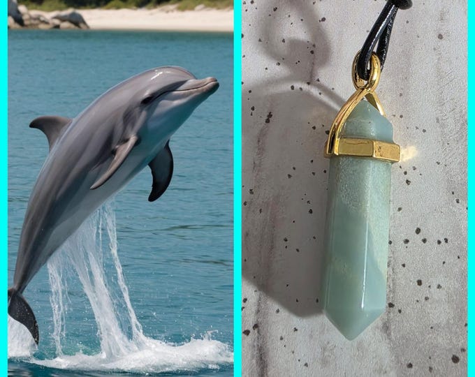 Dolphin "Rarkie" Spirit Companion, Spirit Vessel Necklace, Tier 1