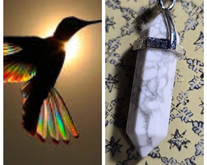 Hummingbird "Zomel" Spirit Companion, Spirit Vessel Necklace, Tier 1