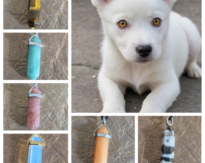 Guardian of the Gates Heaven Hound Puppy Living Entity Companions, CHOOSE from 6 pups, Spirit Vessel Necklace, Tier 2