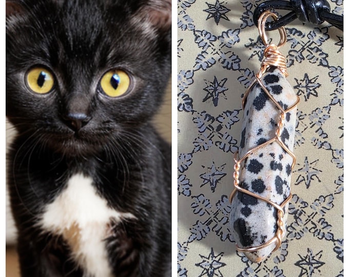 Tiny Kitten "Moldon" Spirit Companion, Spirit Vessel Ring, Tier 1