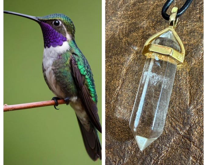 Female Hummingbird "Elera" Spirit Companion, Spirit Vessel Necklace, Tier 1