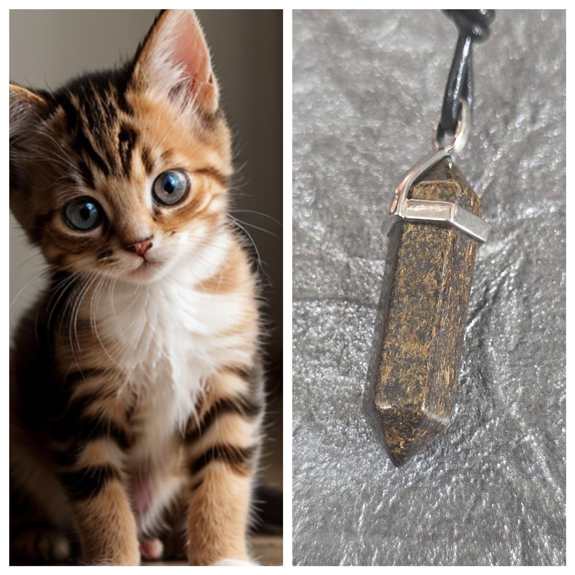 Kefli Rarik Tiny Kitten Rarik Spirit Companion, Spirit Vessel Ring, Tier 1