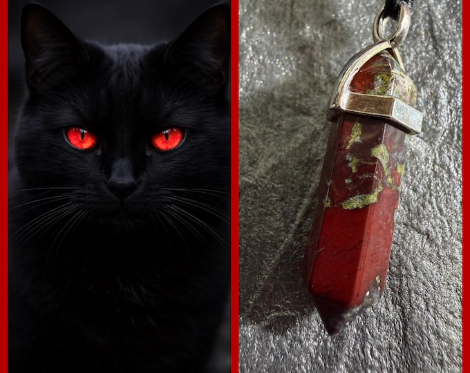 Black Cat "Zego" Spirit Companion, Spirit Vessel Necklace, Tier 1