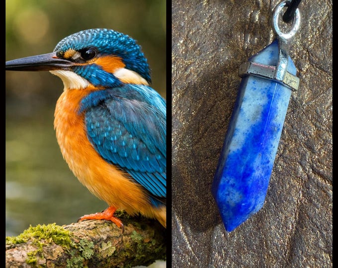 Kingfisher "Alero" Spirit Companion, Spirit Vessel Necklace, Tier 2