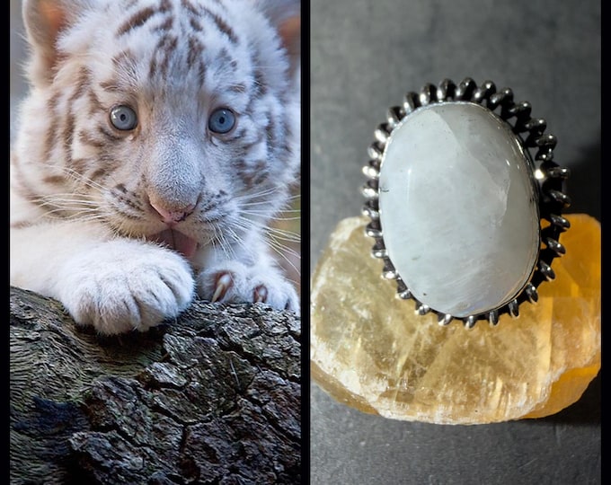 White Tiger Cub "Milko" Spirit Companion, Spirit Vessel Ring, Tier 1