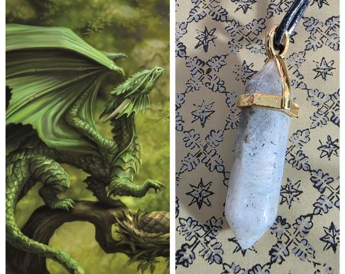 Baby Earth Dragon "Fengrek" Living Entity Companion, Spirit Vessel Necklace, Tier 2