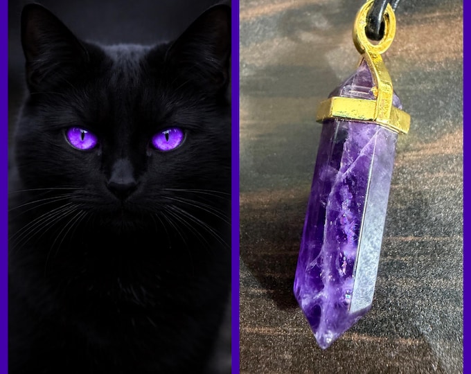 Female Black Cat "Sora" Spirit Companion, Spirit Vessel Necklace, Tier 1