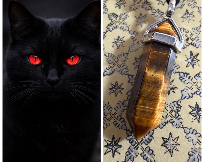 Black Cat "Molko" Spirit Companion, Spirit Vessel Necklace, Tier 1