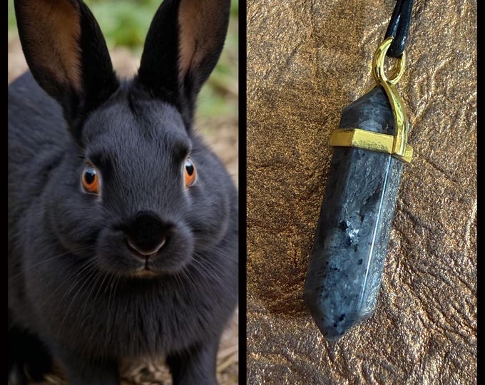 Black Rabbit "Fargor" Spirit Companion, Spirit Vessel Necklace, Tier 1