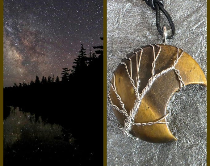 Dark Forest Astral Realm Portal, Astral Real Estate, PERSONAL astral realm for you AND your companions, Enchanted Necklace