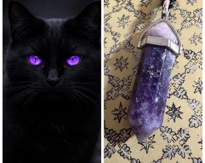 Female Black Cat "Tinra" Spirit Companion, Spirit Vessel Necklace, Tier 1