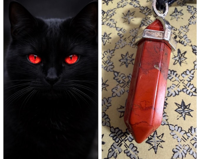 Black Cat "Brenvo" Spirit Companion, Spirit Vessel Necklace, Tier 1