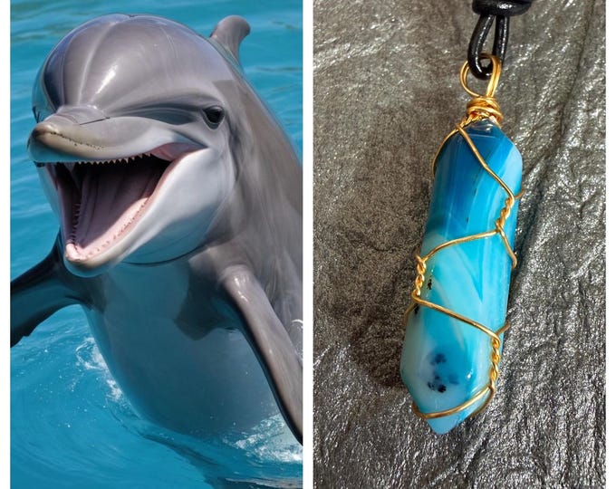 Dolphin "Remgo" Spirit Companion, Spirit Vessel Necklace, Tier 1