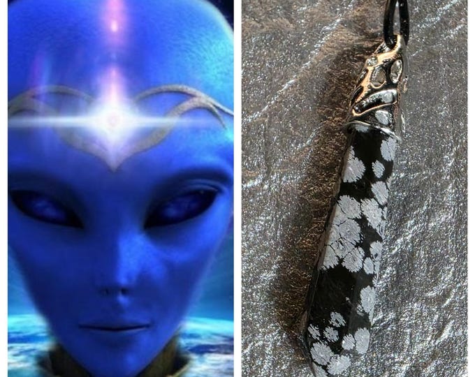 Arcturian Guide "Xebec"(zeh-beck) Living Entity Companion, Spirit Vessel Necklace, Tier 3
