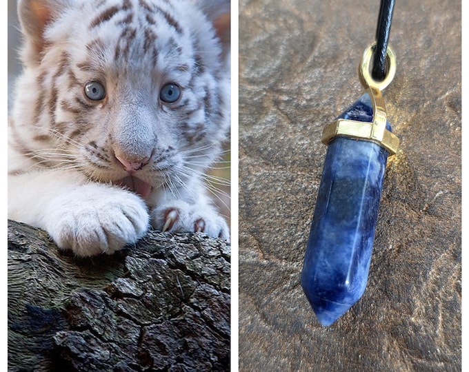 White Tiger Cub "Finrol" Spirit Companion, Spirit Vessel Necklace, Tier 1
