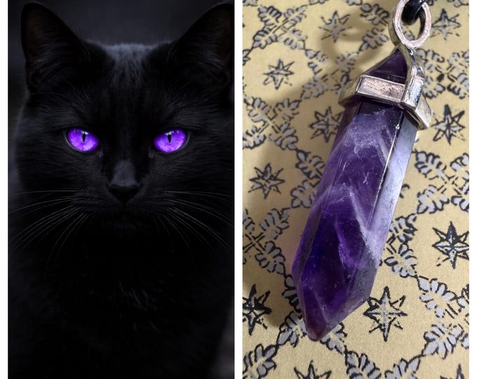 Female Black Cat "Malta" Spirit Companion, Spirit Vessel Necklace, Tier 1
