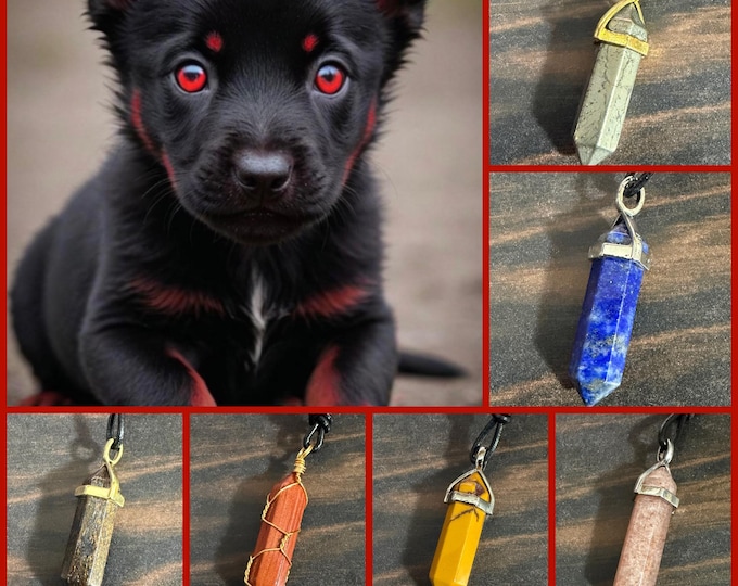 Hellhound Puppy Living Entity Companions, CHOOSE from 6 pups, Spirit Vessel Necklace, Tier 2