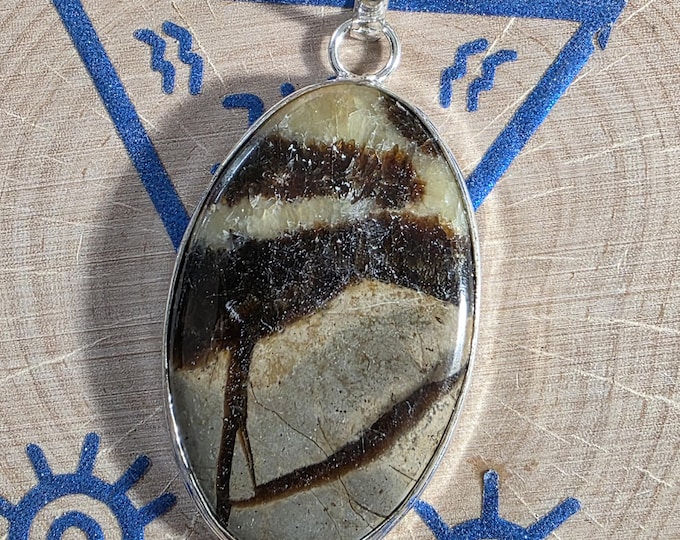New! Lycan Shift, Lycan Energy Transformation, now binds at first touch, cast on the 6/11 full moon Enchanted Necklace, BESTSELLER 30+ sold!